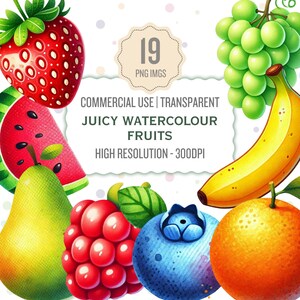 Watercolor Fruit Clipart Bundle, Clipart for Flashcards, Classroom and Teacher Clipart, Clipart PNG Bundle