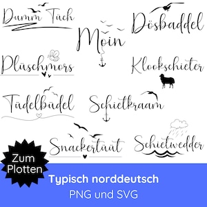 File plotter per camicie PNG SVG · detti divertenti · SVG marittimo · Gabbiani in formato SVG · Cricut Silhouette Studio · detti sfacciati · Pacchetto nautico