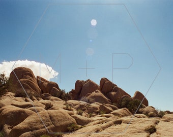 HexagonPrintShop - Landschap 5 - Joshua Tree Fotografie - ALLEEN AFDRUKKEN