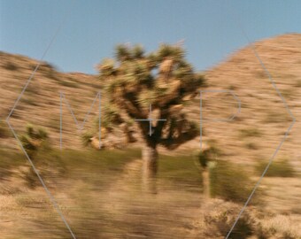 HexagonPrintShop - Blur 1 - Joshua Tree Photography - ALLEEN AFDRUKKEN