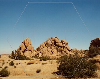 HexagonPrintShop - Landschap 4 - Joshua Tree Fotografie - ALLEEN AFDRUKKEN