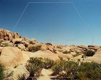 HexagonPrintShop - LANDSCHAP 1 - Joshua Tree Photography - ALLEEN AFDRUKKEN