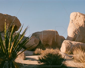 HexagonPrintShop - Hall of Horrors - Joshua Tree Photography - ALLEEN AFDRUKKEN