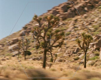 HexagonPrintShop - Blur 3 - Joshua Tree Photography - ALLEEN AFDRUKKEN