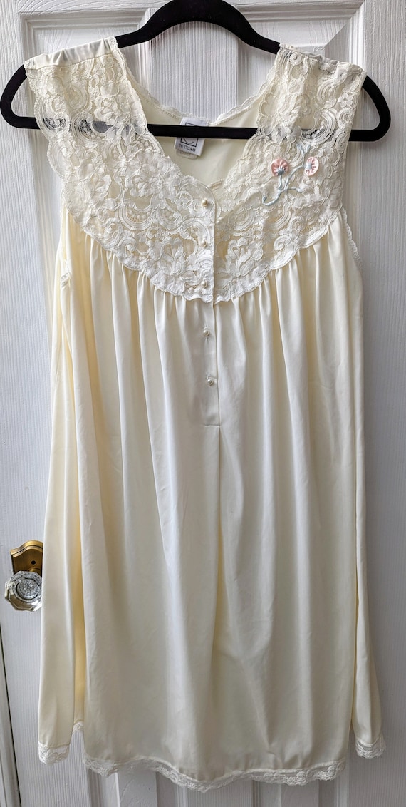 Vintage Lingerie Penoir nightgown robe set Eve Sti