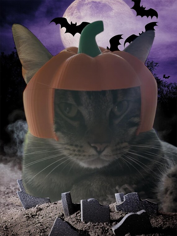Maglietta Uomo Con Gatto Nero, Strega E Zucca - Design Originale Per Halloween. 100% Cotone, Vestibilità Classica, Prodotta In Germania. Taglie S-XXXL. Idea Regalo Per Amanti Del Mistero.