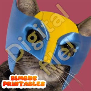 Könnte beinhalten: Eine Katze trägt eine blaue und gelbe Wolverine-Maske. Die Maske hat einen gelben Streifen in der Mitte und blau an den Seiten. Die Katze schaut in die Kamera.