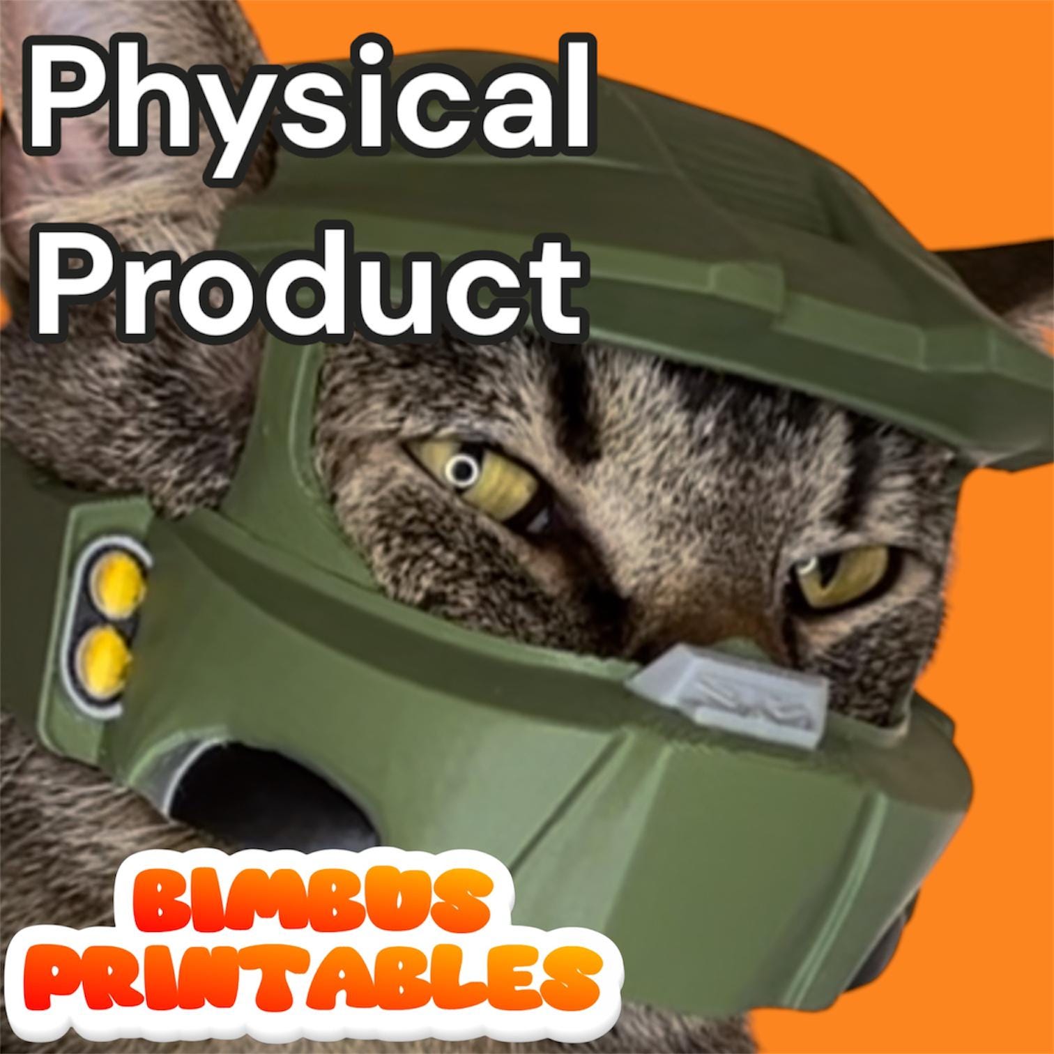 Master Bimbus Cat Helmet