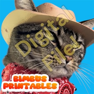 May include: A tabby cat wearing a cowboy hat and a red bandana with a paisley pattern. The image has the text "Digital File" and "Bimbus Printables" on a blue background.