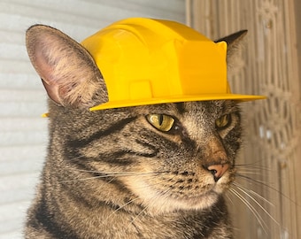 Casco da cantiere per gatti [Prodotto fisico]