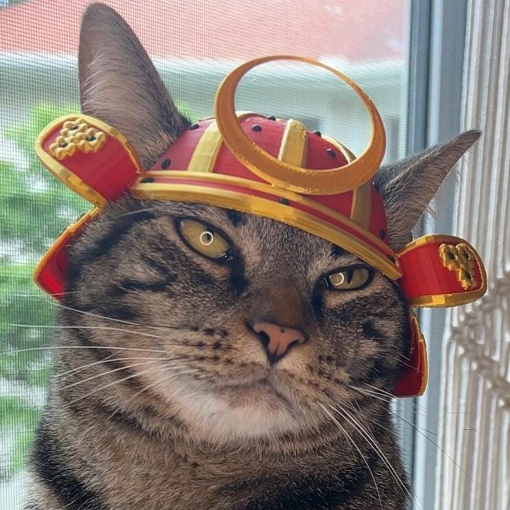 猫のヘルメット - Etsy 日本