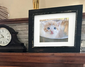 Curious Orange Tabby Kitten in a Bowl Fine Art Photography Print, Cat, Kitty, Pet, Farm, Feline, Cat Day, Nursery, Vet - 5" x 7" or 8" x 10"