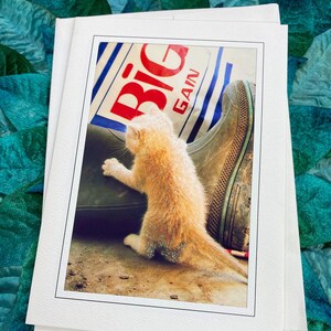 GLITTER Big Gain Kitten Fine Art Photography Note Card, Farm, Kitty, Cute, Feed, Boot, Sparkle, Cat, Birthday, Ranch, Country, Fun - 5" x 7"