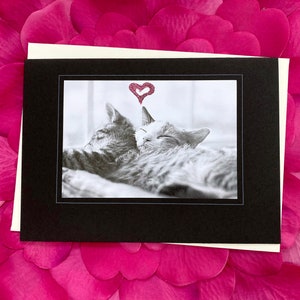 Karta fotograficzna Glitter Accent Heart Love Kitties Fine Art na czarnym lub kremowym papierze, Walentynki, Ślub, Zaręczyny, Para - 7" x 5"