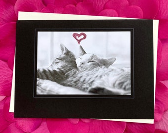 Glitter Accent Heart Love Kitties Fine Art Photography Card on Black or Cream Card Stock, Valentine, Wedding, Engagement, Couple - 7" x 5"