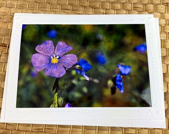 GLITTER Purple Cranesbill Flower Fine Art Photography Note Card, Flowers, Floral, Garden, Nature, Outdoors, Spring, Summer, Fun - 7" x 5.25"