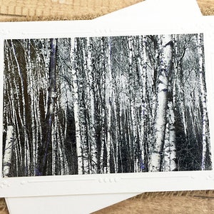 Glitteraccent Noord-Minnesota berkenbomen Fine Art Photography Notitiekaart, Z/W, Up North, natuur, National Forest, MN, bossen - 7" x 5"