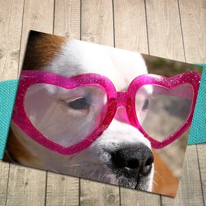 May include: A close-up of a dog wearing bright pink heart-shaped sunglasses. The glasses have a glittery finish. The dog's fur is white and brown, with a black nose. The background is a wooden surface.
