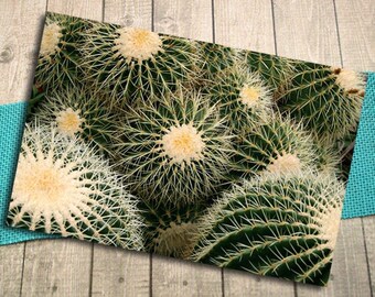Golden Barrel Cacti Fine Art Photography Postcard, Golden Ball, Mother-in-law's Seat, Garden, Plants, Nature, Postcrossing - 5.75"x4.125"