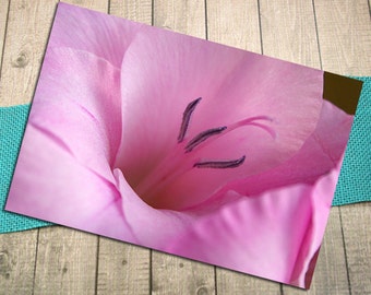 Pink Flower Close Up Fine Art Postcard, Garden, Bouquet, Birthday, Get Well, Thinking of You, Friendship, Invitation, Be My Bridesmaid