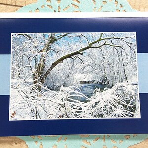 Queda de neve ao redor do riacho Minneopa Foto saudação, cartão de nota, árvore, água, inverno, riacho, cena de inverno, galhos, neve, céu azul - 6,75" x 5"