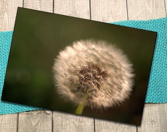 Dandelion Close-Up Fine Art Photography Postcard, Nature, Seasons, Outdoors, Childhood, Memories, Postcrossing, Weed, Puff  - 5.75" x 4.125"