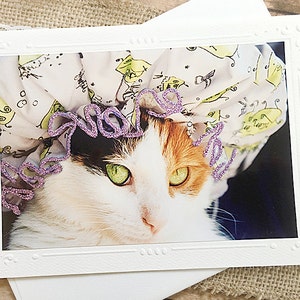 Glitteraccent douchemuts Calico Fine Art Photography Card, kat, verjaardag, denken aan jou, gewoon omdat, groene ogen, humor, bad - 7" x 5"