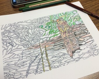 Ground Squirrel Coloring Page: Glacier National Park Hand-Drawn Art (PDF/JPG)