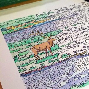 Yellowstone Elk Coloring Page: Handdrawn Nature Scene (PDF/JPG)