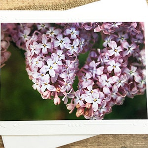 Tarjeta fotográfica artística con detalles brillantes de lilas, flores, floral, jardín, naturaleza, aire libre, primavera, jardinería, jardinero - 18 x 13,2 cm