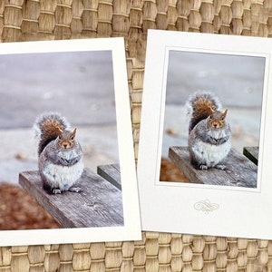 Cartão de visita fotográfico artístico com esquilo grávido GLITTER, mamãe, grávidas, mãe de primeira viagem, natureza, nova mãe, dia das mães, gêmeos - 7" x 5"
