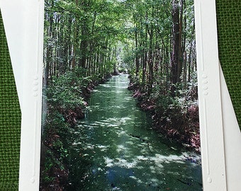 Okefenokee Swamp Photography Card, Old South, Nature, Wilderness, Outdoors, Moss, Adventure, Green, Georgia, Florida, Friends - 5.25" x 7"