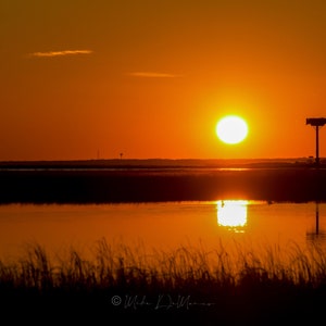 May include: A silhouette of a birdhouse on a pole stands in a marsh at sunset. The sun is a bright orange orb reflecting in the water.