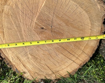 Large Wood Slice 14-15 inch/ Sustainably Sourced/ Wood Discs/ Craft/ DIY/ Oak/ Handmade/ Rustic Decor/ Wedding