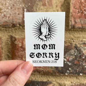 Seventeen DK 'MOM SORRY' 3 "x 3" Meme Aufkleber