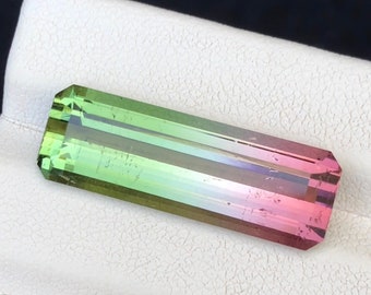 13.4 Cts Natural Watermelon Tourmaline Faceted