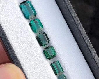 Può includere: Una fila di sette pietre preziose di colore verde smeraldo in una scatola bianca. Le pietre preziose sono tagliate in forma rettangolare con bordi bisellati.