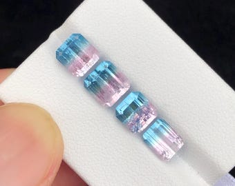 Lote de turmalina bicolor: piedras preciosas sueltas de talla esmeralda (8,4 quilates en total)