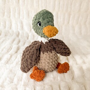 May include: A crocheted plush duck toy with brown, green, and orange yarn. The duck has a small, white beak and black eyes.