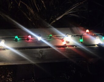 Shotgun shell Christmas holiday Xmas lights