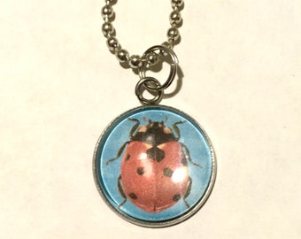 Lucky Ladybug Necklace Insect Nature Gift