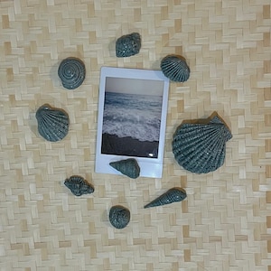 Handmade Ceramic Seashell Themed Magnet Set - Ocean Inspired Kithcen Decor - Fridge Magnets Gift Set