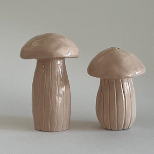 Handmade Ceramic Mushroom Salt & Pepper Shakers – Nature-Inspired Kitchen Decor
