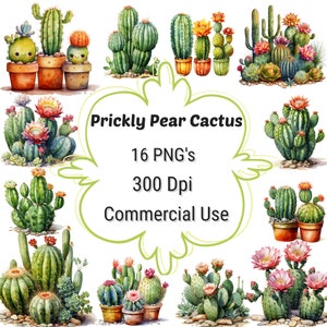 16 bundle di clipart Png di cactus di fico d'india per scrapbooking artigianale, cactus e fiori 300 Dpi, cartoline, t-shirt, sublimazione, uso commerciale