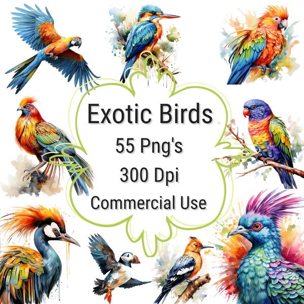 55 Png Bird Clipart Bundle Digital Graphics for Scrapbook, Exotic Birds for Canvas Poster Card Making Stickers, Commercial License, 300 Dpi