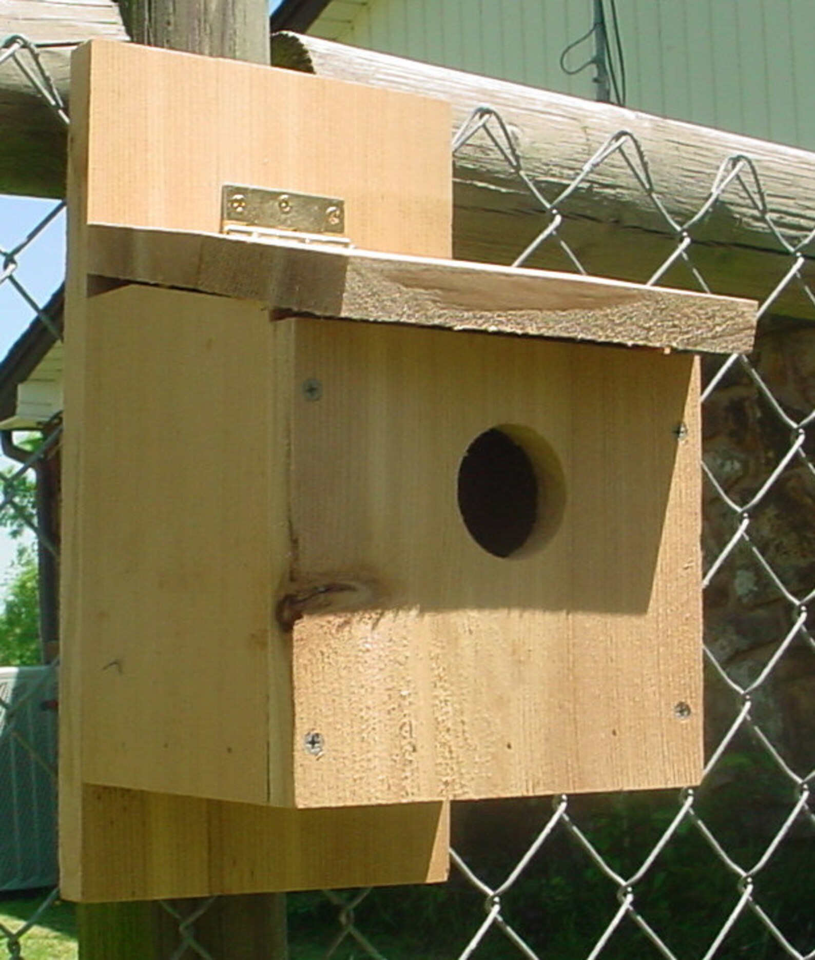 House Finch Birdhouse Etsy