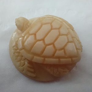 May include: A carved ivory turtle figurine with a detailed shell and a textured base.