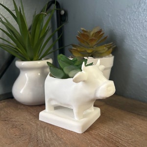 Cow Planter With Succulent