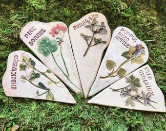Wild Edible and Medicinal Plant Marker 5 Piece Set of Garden Stakes
