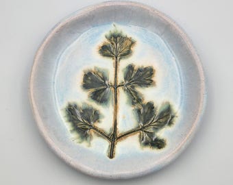 Flat Leaf Parsley  Herb 5" Side Plate Ceramic  Dinnerware